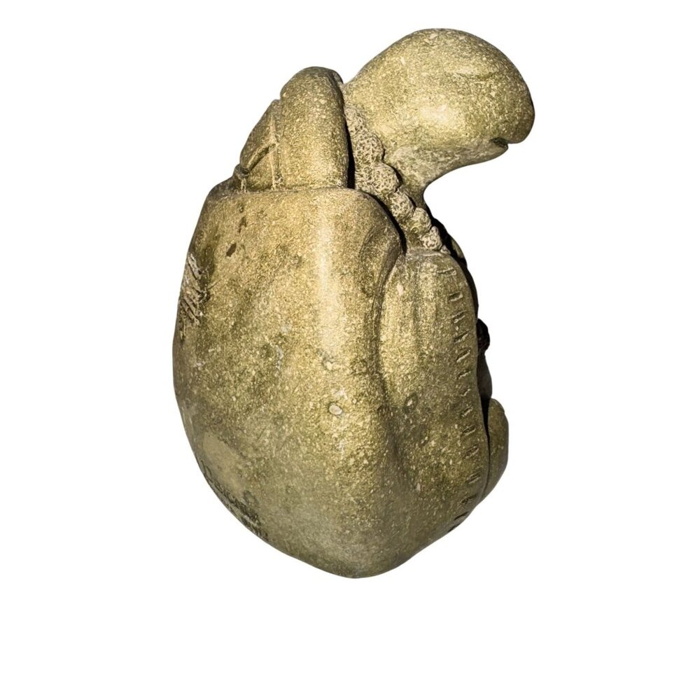 Designer stone Inc Turtle Figurine Stone Statue Home Decor 4" Rustic Finish - Picture 8 of 9